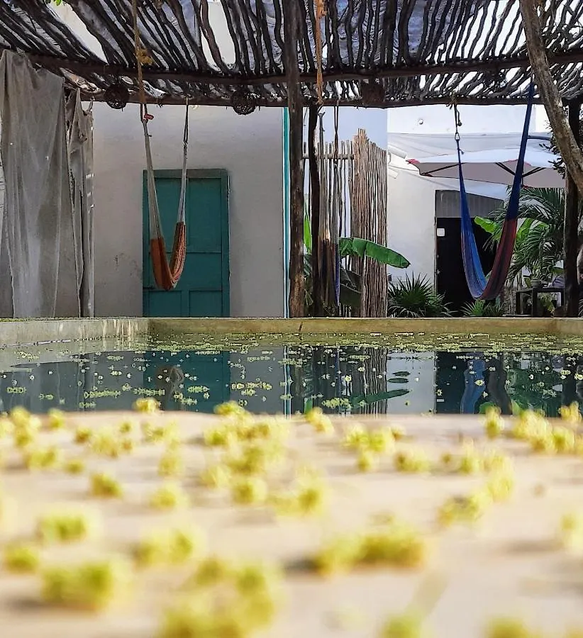Guaya Hostel Merida