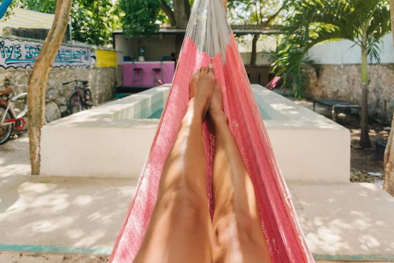 Guaya Hostel Merida Mexico